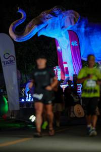 BIB: 
                            <button type="button" onclick="openModal(26533272)" class="btn btn-primary btn-sm float-right btn-popup" data-toggle="modal" data-target=".modal-high-quality">
                        <i class="fas fa-shopping-cart"></i> Add to Cart
                    </button>
                                            <button type="button" onclick="isThisMe(26533272, true)" class="btn btn-success btn-sm float-right btn-popup btn-isme hidden" data-toggle="tooltip" data-placement="bottom" title="นี่คือรูปของคุณใช่ไหม คลิกที่นี่เพื่อเอาเข้าอัลบั้ม">
                        <i class="fas fa-plus"></i> Add to album
                    </button>
                    <button type="button" onclick="isThisMe(26533272, false)" class="btn btn-warning btn-sm float-right btn-popup btn-isnotme hidden">
                        <i class="fas fa-ban"></i> Remove from album
                    </button>